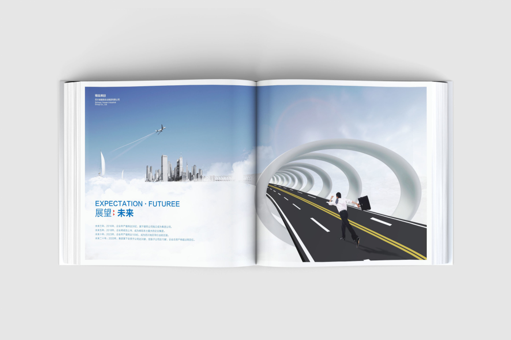 台江区画册设计